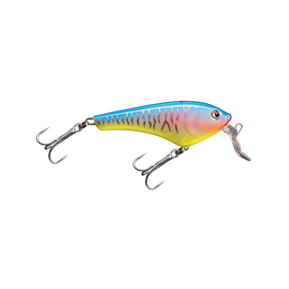 Mojarra 90 Paleta Quebrada - 0,8 m - Baitcasting