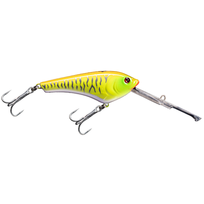 Mojarra 120 Paleta Larga - 9 m - Trolling