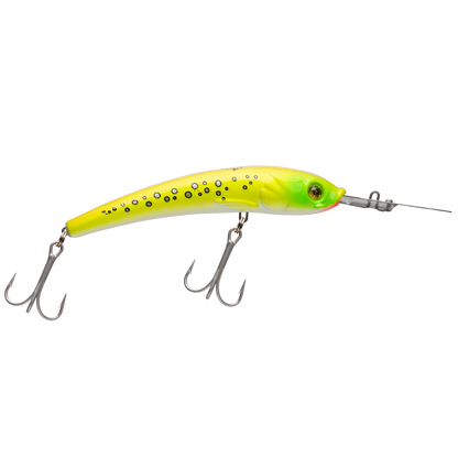 Morena 155 Paleta Larga - 15 m - Trolling