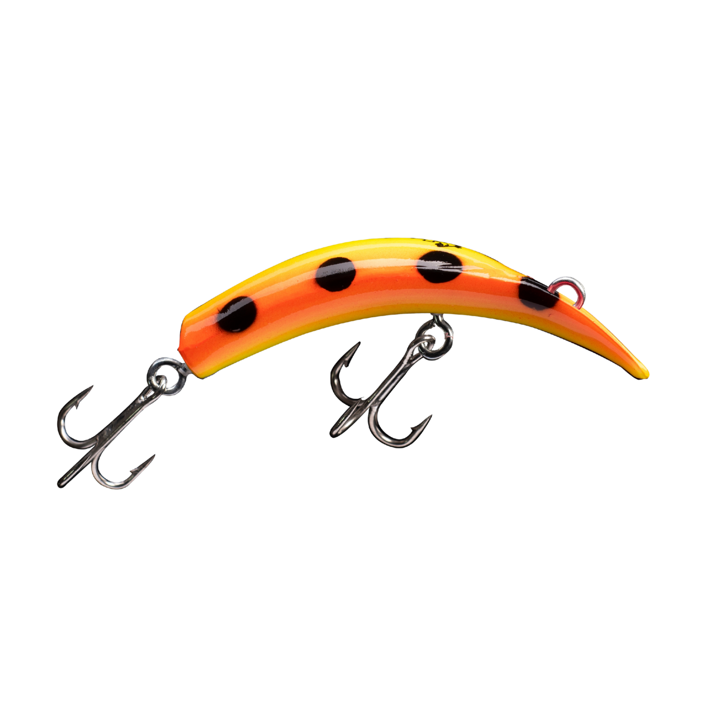 Caimán - 1 m - Baitcasting