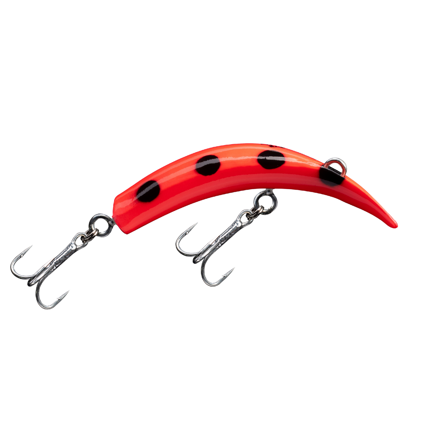 Caimán - 1 m - Baitcasting