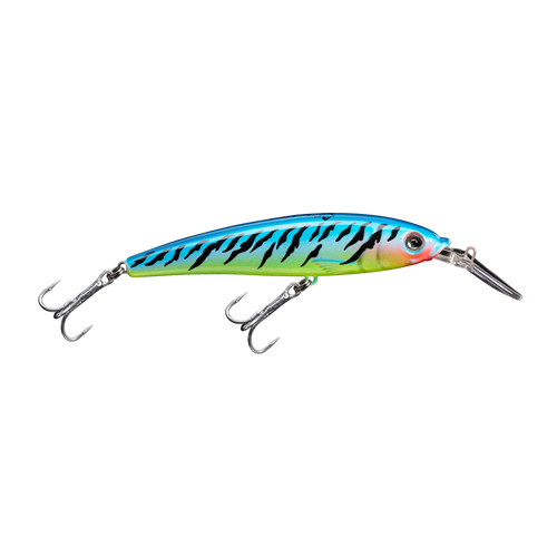Extreme 110 Paleta BR - 2 m - Baitcasting